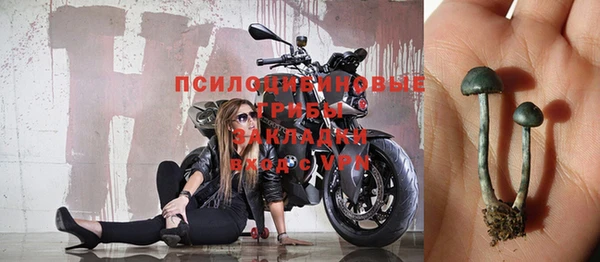 амф Протвино