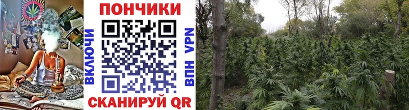 Бошки марихуана Ganja Петровск-Забайкальский